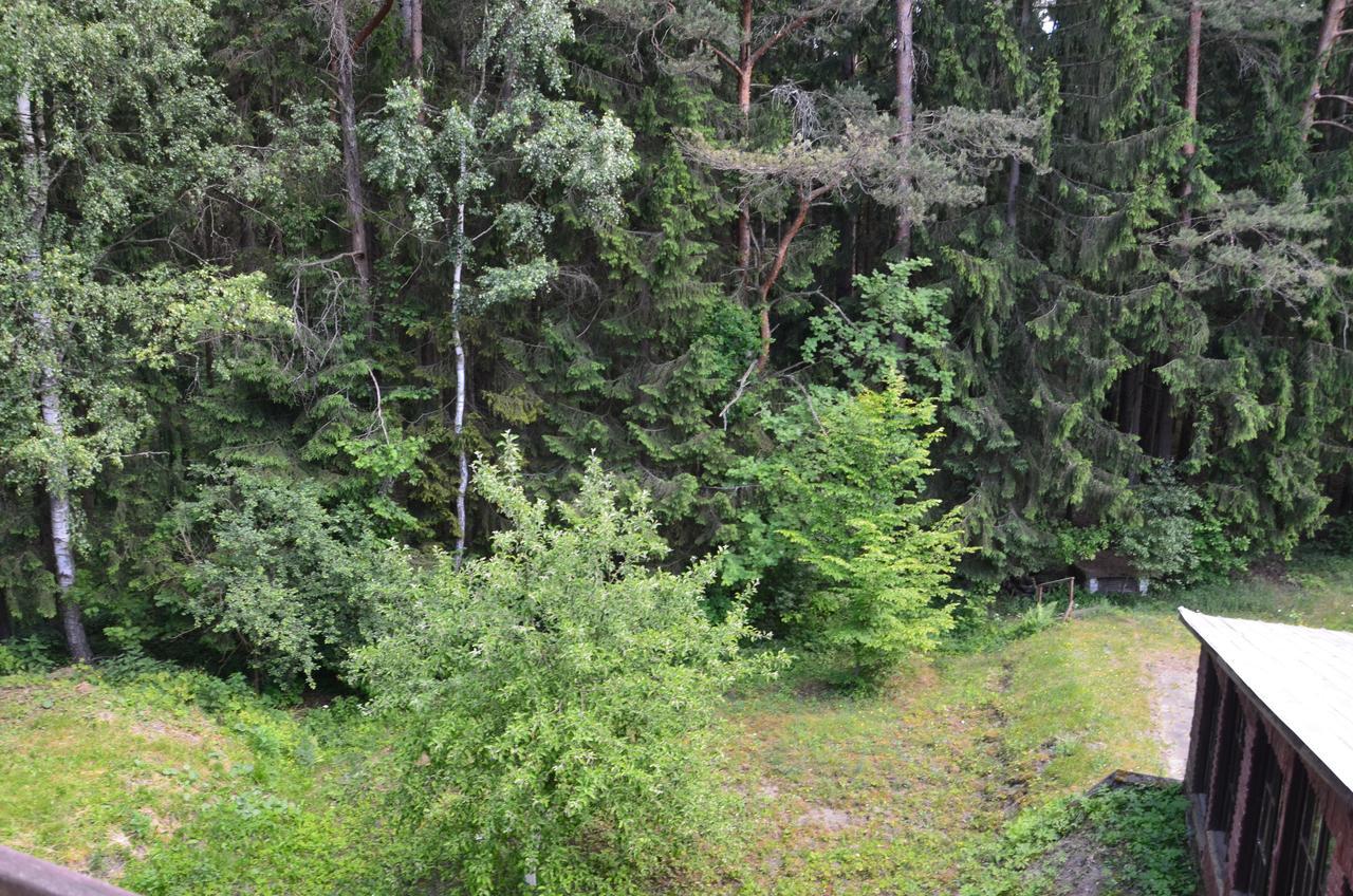 Zajazd Lesny Czarna Bialostocka Extérieur photo